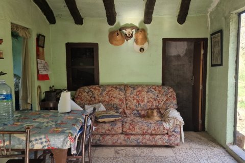 Продажа земельного участка в Раскера, Таррагона, Испания 38548м2 №185571 - фото 22