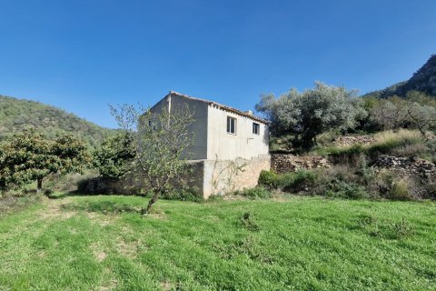 Продажа земельного участка в Раскера, Таррагона, Испания 38548м2 №185571 - фото 7