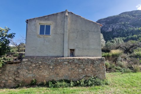 Продажа земельного участка в Раскера, Таррагона, Испания 38548м2 №185571 - фото 6