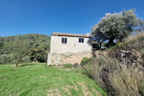 Продажа земельного участка в Раскера, Таррагона, Испания 38548м2 №185571 - фото 8
