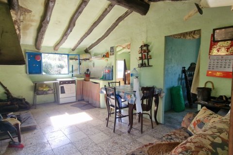 Продажа земельного участка в Раскера, Таррагона, Испания 38548м2 №185571 - фото 15