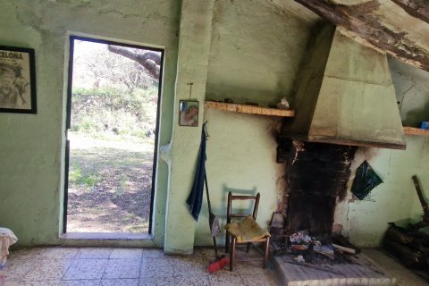 Продажа земельного участка в Раскера, Таррагона, Испания 38548м2 №185571 - фото 19