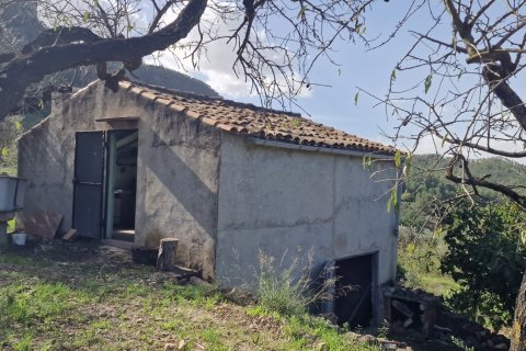 Продажа земельного участка в Раскера, Таррагона, Испания 38548м2 №185571 - фото 3