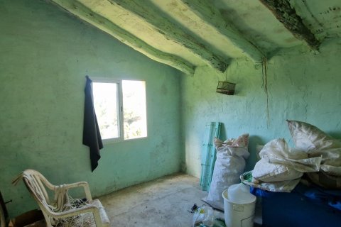 Продажа земельного участка в Раскера, Таррагона, Испания 38548м2 №185571 - фото 25