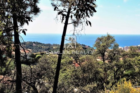 Land plot in Lloret de Mar, Girona, Spain 807 sq.m. No. 177289