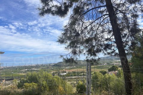 Tontti myytävänä Ador, Valencia, Espanja , 1034 m2 No. 186202 - kuva 3