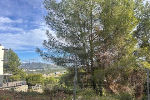 Tontti myytävänä Ador, Valencia, Espanja , 1034 m2 No. 186202 - kuva 2