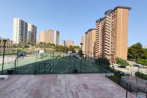 Huoneisto myytävänä Benidorm, Alicante, Espanja, 2 makuuhuonetta, 130 m2 No. 196110 - kuva 28