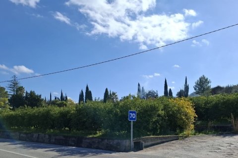 Land in Benidoleig, Alicante, Spanien 2275 m2 Nr. 185993