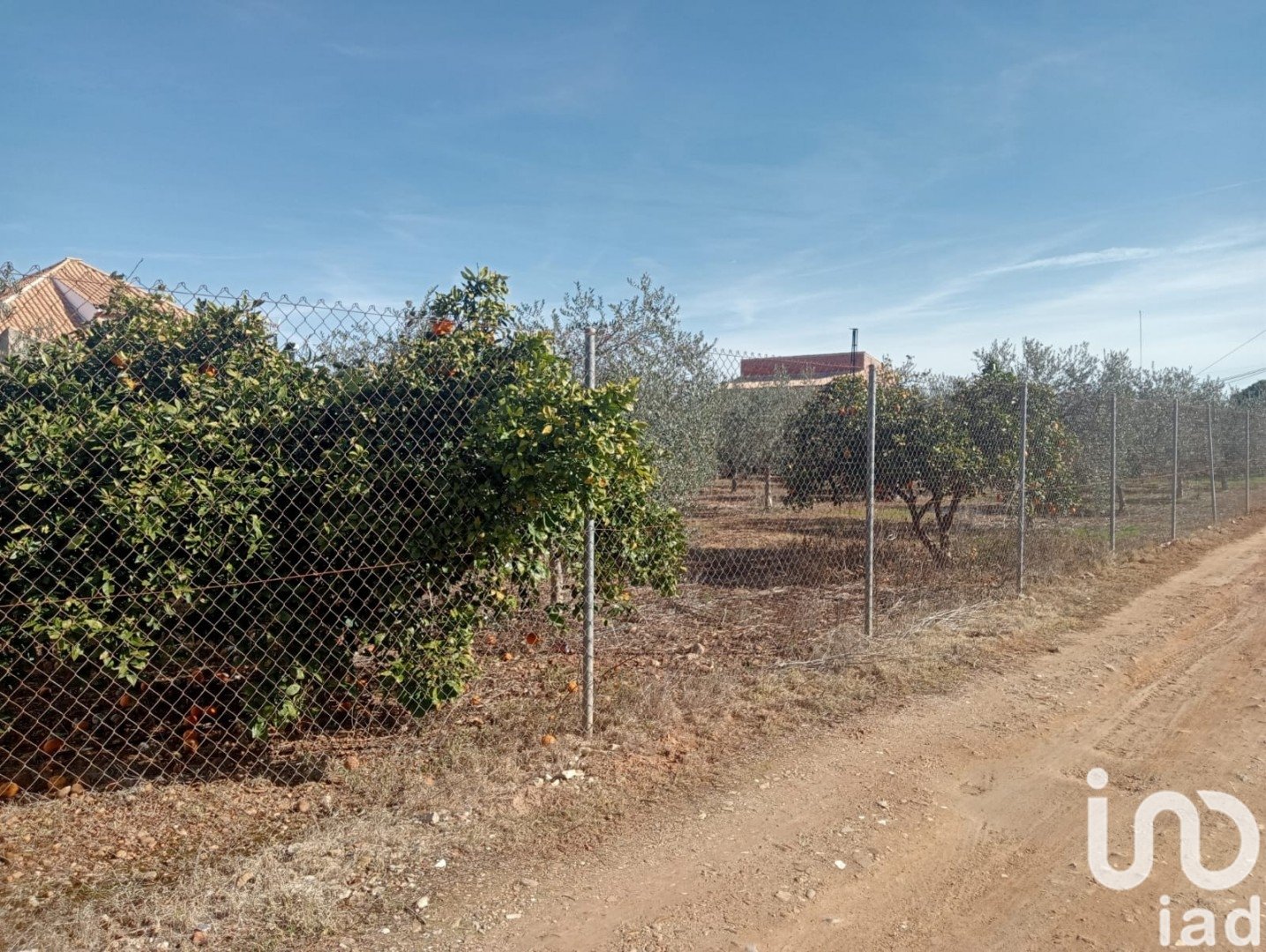 Land plot à Canada Rosal, Seville, Espagne 1200 m2 No. 185997