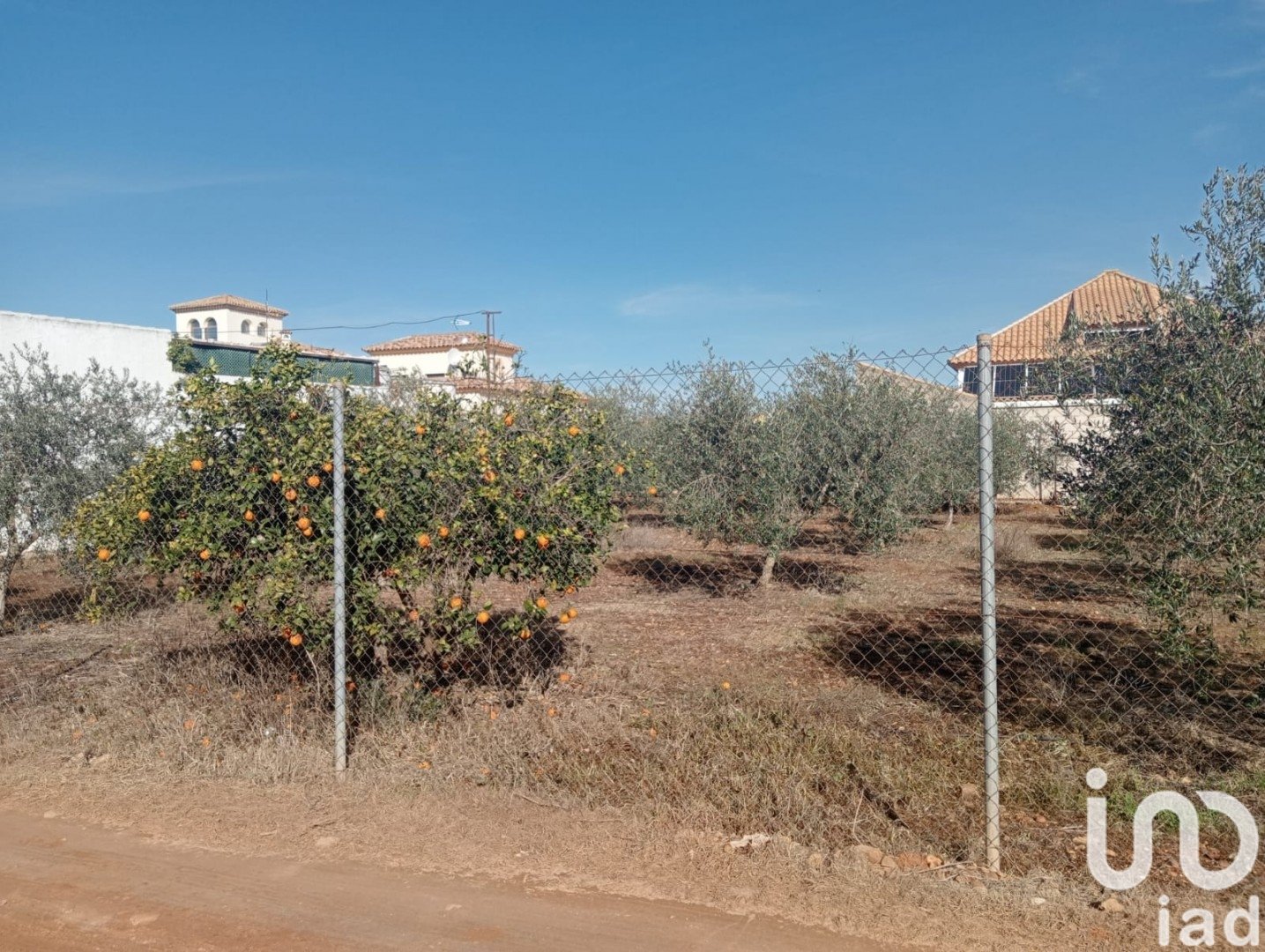 Land plot à Canada Rosal, Seville, Espagne 1200 m2 No. 185997