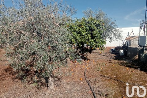 Land plot in Canada Rosal, Seville, Spain 1200 sq.m. No. 185997