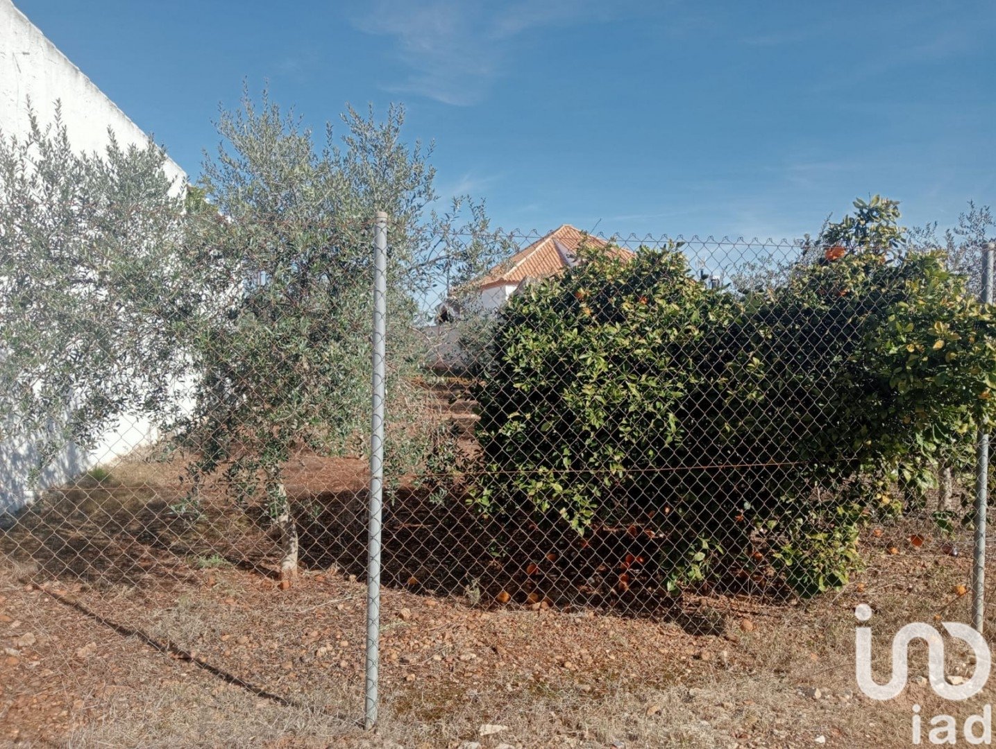 Land plot à Canada Rosal, Seville, Espagne 1200 m2 No. 185997