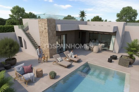 Villa à vendre à Rojales, Alicante, Espagne, 3 chambres, 118 m2 No. 164358 - photo 2