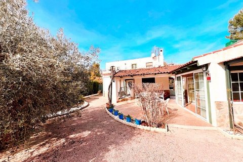 House à vendre Aspe, Alicante, Espagne, 4 chambres, 233 m2 No. 111303 - photo 5