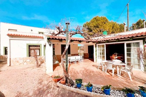 House à vendre Aspe, Alicante, Espagne, 4 chambres, 233 m2 No. 111303 - photo 6