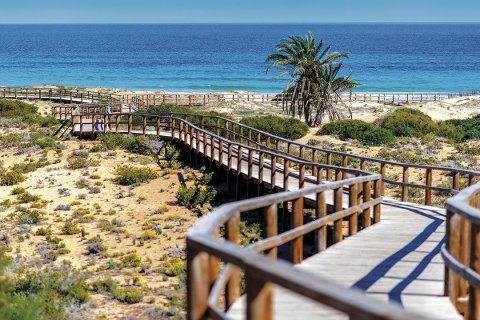 Kattohuoneisto myytävänä Monforte del Cid, Alicante, Espanja, 3 makuuhuonetta, 116 m2 No. 111313 - kuva 23