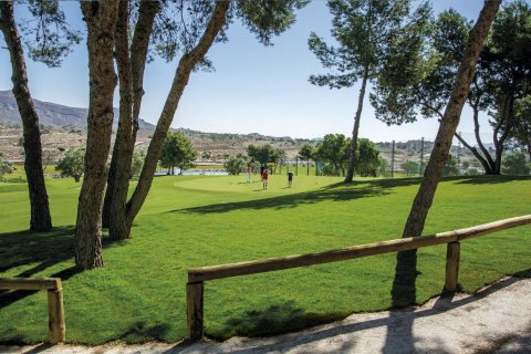 Kattohuoneisto myytävänä Monforte del Cid, Alicante, Espanja, 3 makuuhuonetta, 116 m2 No. 111313 - kuva 20
