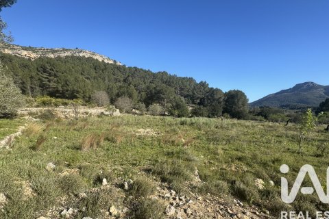 Terreno in vendita a Murla, Alicante, Spagna 12510 mq. N° 185509 - foto 18