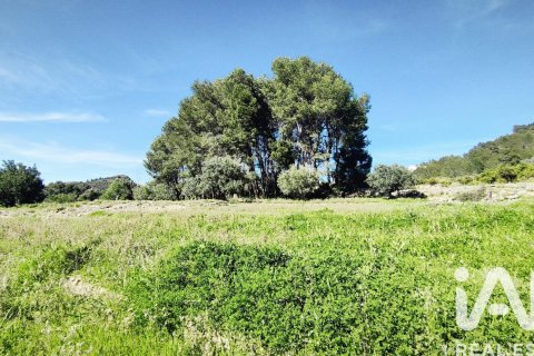 Terreno in vendita a Murla, Alicante, Spagna 12510 mq. N° 185509 - foto 14