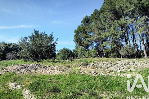 Terreno in vendita a Murla, Alicante, Spagna 12510 mq. N° 185509 - foto 10