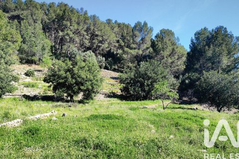Land in Murla, Alicante, Spanien 12510 m2 Nr. 185509