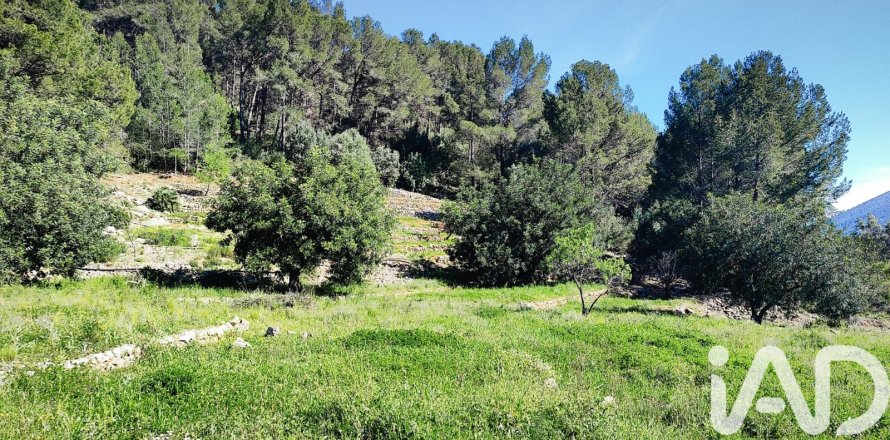 Terreno a Murla, Alicante, Spagna 12510 mq. N° 185509