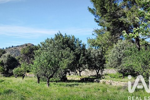 Terreno in vendita a Murla, Alicante, Spagna 12510 mq. N° 185509 - foto 6