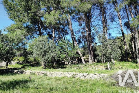 Terreno in vendita a Murla, Alicante, Spagna 12510 mq. N° 185509 - foto 11