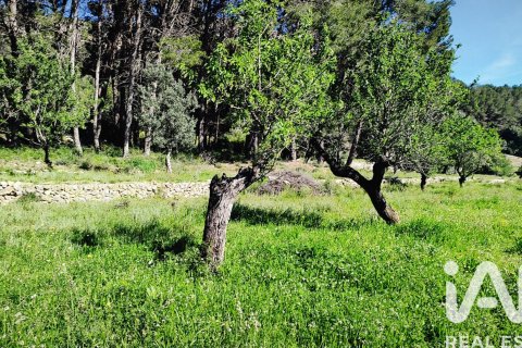 Terreno in vendita a Murla, Alicante, Spagna 12510 mq. N° 185509 - foto 7