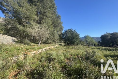 Terreno in vendita a Murla, Alicante, Spagna 12510 mq. N° 185509 - foto 25