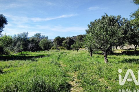 Terreno in vendita a Murla, Alicante, Spagna 12510 mq. N° 185509 - foto 17