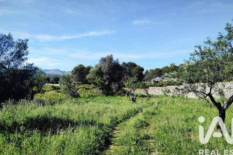 Terreno in vendita a Murla, Alicante, Spagna 12510 mq. N° 185509 - foto 13