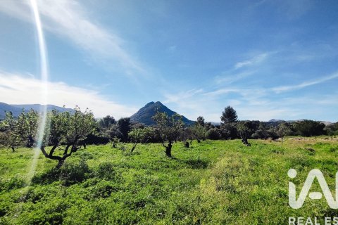 Terreno in vendita a Murla, Alicante, Spagna 12510 mq. N° 185509 - foto 3