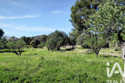 Terreno in vendita a Murla, Alicante, Spagna 12510 mq. N° 185509 - foto 28