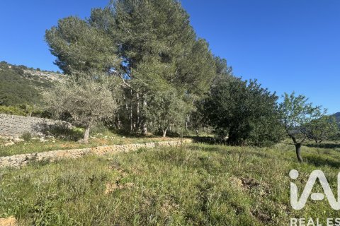 Terreno in vendita a Murla, Alicante, Spagna 12510 mq. N° 185509 - foto 24