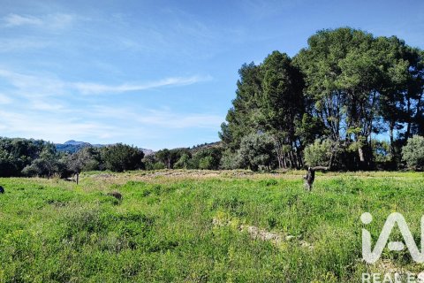 Terreno in vendita a Murla, Alicante, Spagna 12510 mq. N° 185509 - foto 12
