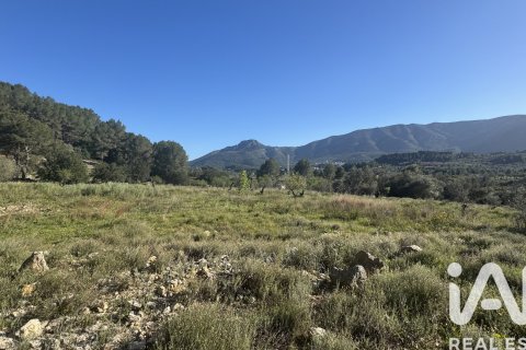 Terreno in vendita a Murla, Alicante, Spagna 12510 mq. N° 185509 - foto 19