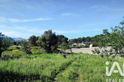 Terreno in vendita a Murla, Alicante, Spagna 12510 mq. N° 185509 - foto 16
