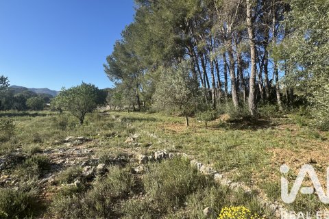 Terreno in vendita a Murla, Alicante, Spagna 12510 mq. N° 185509 - foto 20