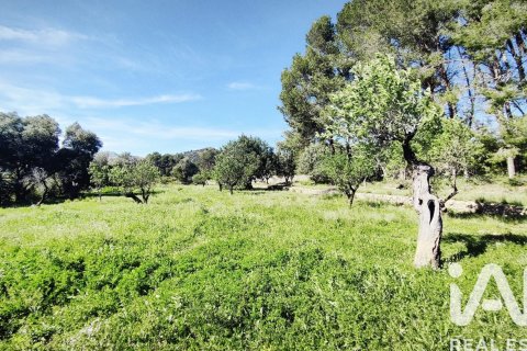Terreno in vendita a Murla, Alicante, Spagna 12510 mq. N° 185509 - foto 15