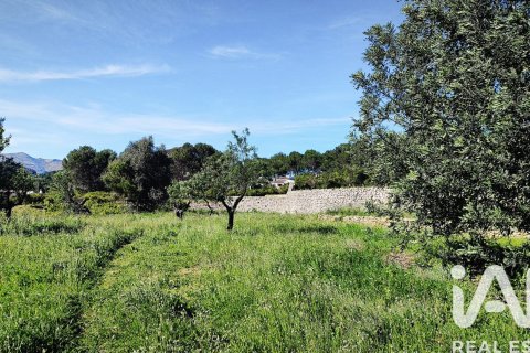 Terreno in vendita a Murla, Alicante, Spagna 12510 mq. N° 185509 - foto 9