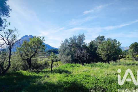 Terreno in vendita a Murla, Alicante, Spagna 12510 mq. N° 185509 - foto 8