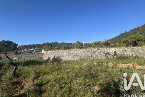 Terreno in vendita a Murla, Alicante, Spagna 12510 mq. N° 185509 - foto 23
