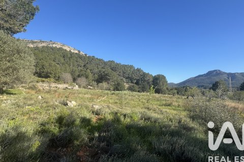 Terreno in vendita a Murla, Alicante, Spagna 12510 mq. N° 185509 - foto 22