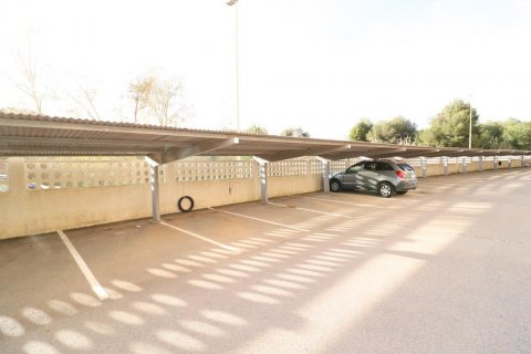 Apartament Dehesa De Campoamor, Alicante, Hiszpania 3 sypialnie, 106 mkw. nr 116777 – zdjęcie 17