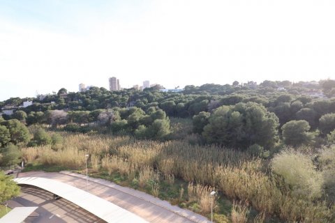 Apartament Dehesa De Campoamor, Alicante, Hiszpania 3 sypialnie, 106 mkw. nr 116777 – zdjęcie 25