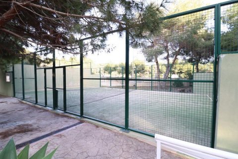 Apartament Dehesa De Campoamor, Alicante, Hiszpania 3 sypialnie, 106 mkw. nr 116777 – zdjęcie 22