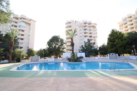 Apartament Dehesa De Campoamor, Alicante, Hiszpania 3 sypialnie, 106 mkw. nr 116777 – zdjęcie 19