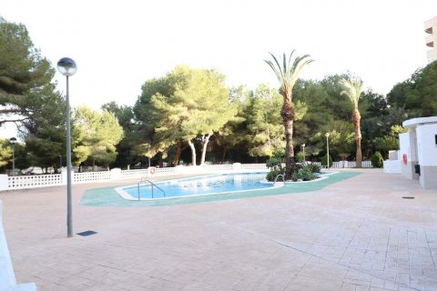 Apartament Dehesa De Campoamor, Alicante, Hiszpania 3 sypialnie, 106 mkw. nr 116777 – zdjęcie 24